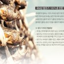 굴비명가 이미지