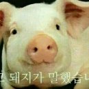 철이네뒷고기 이미지