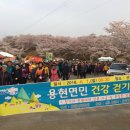 용현이네 이미지
