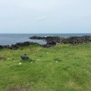 남생이못 이미지