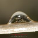 부천우편집중국 이미지