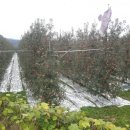 신덕농장 이미지