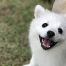 위드티쳐 이미지