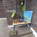 카페틔우다 이미지