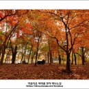 구르몽 Daum카페