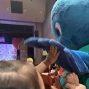 세종문화예술회관 | <엄마까투리-세종> 두돌 관람후기: 세종문화예술회관 좌석 후기