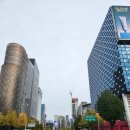 도산대로 이미지