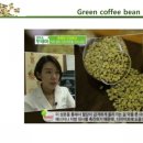 비더그린