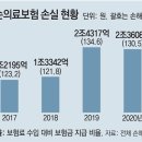 그냥 심심해서요. (8515) 실손보험은 손실보험 이미지