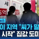 3115이솔 미디어 리터러시 비평 (1학기 7주차) 이미지