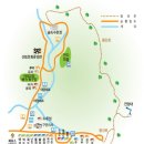 안락동역사의 숲 충렬사방면 | [먹사없] 비 내리던 남해 숲속의 하룻밤 - 남해편백자연휴양림