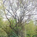 덕림서원 이미지