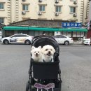 영풍이용원 네이버블로그