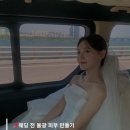 바이로움