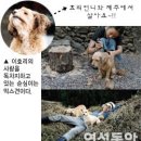 전성