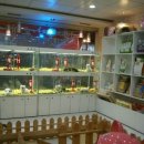 멍멍아 놀자 이미지