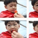 상명농장 이미지