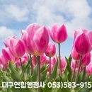 행정사김덕수 이미지