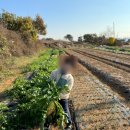 서초중앙로 200 (7) 이미지