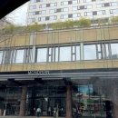 1988 피트니스 | 서울 5성급 호텔 추천, 몬드리안 이태원 웨딩 정보 및 부대시설 완벽 가이드