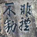 봄비숲