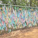 파주시티투어 평화관광(토요일) 이미지