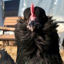 아성슈퍼 이미지