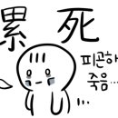 스푼중국어 네이버블로그