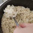 부부생필품 유통 | [구매후기] 당일도정해서 발송해주는 두레마을 오분도미 쌀4kg 구매후기