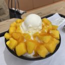 치즈빙수, 라라코스트, 방천가족족발, 침산동 농협...엑스코 그랑파티오 방문후기를 담은 헬린이의 일상