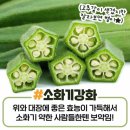 오크라 이미지