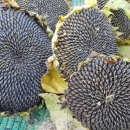 강변로3(동) 이미지