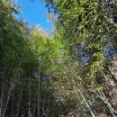 성철목장 이미지