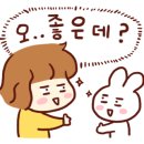 세움채움