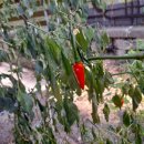 복받음길 이미지