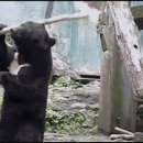 기권농장 이미지