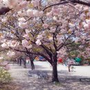 수양천안·아산