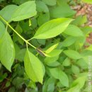 신창지역아동센터 이미지