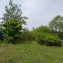 석주농장 이미지