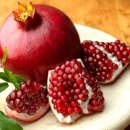 ATOZ피티샵 이미지