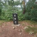 봉학천 Daum카페