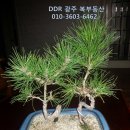 가나부동산중개사무소 이미지