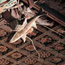 대웅가구 이미지