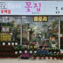 플로리웨이