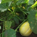 신동리농장 이미지