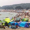 전촌솔밭해수욕장 이미지