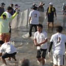 표선리-31 이미지