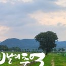 코스모스21호
