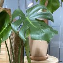 수경약국 이미지