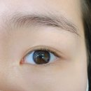 소이브로우 | 예술회관역 속눈썹펌 : 소이브로우 솔직후기 4가지